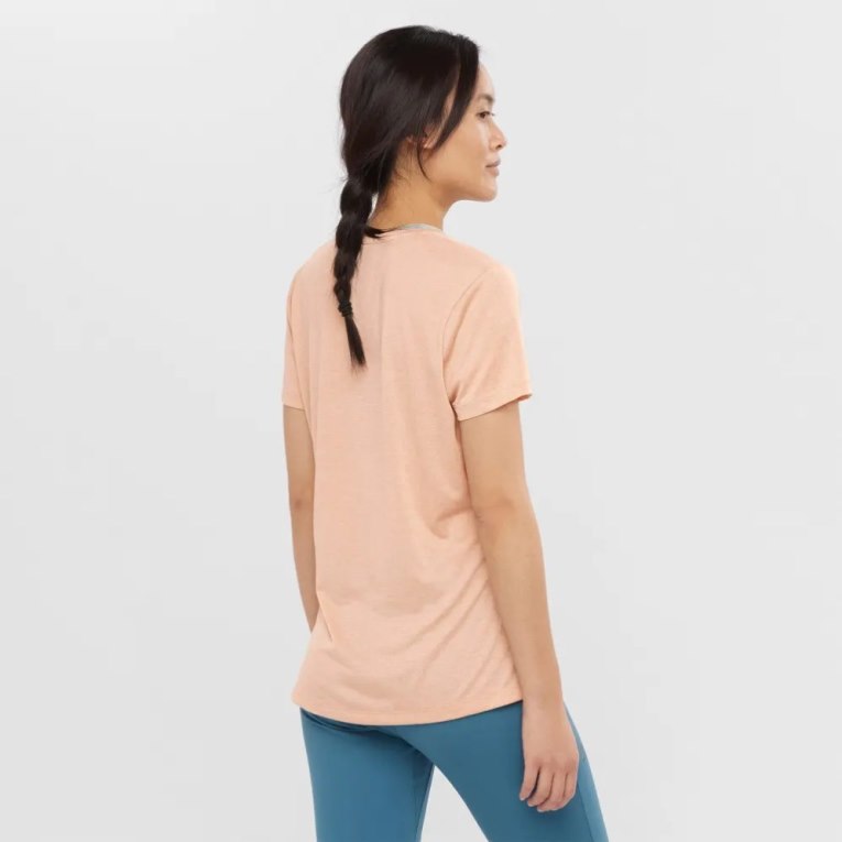 Camiseta Salomon Agile Curta Sleeve Feminino Abricó | PT J06753